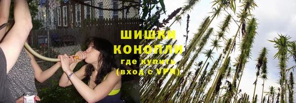 винт Аркадак