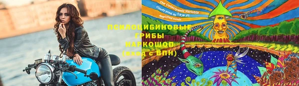 винт Аркадак